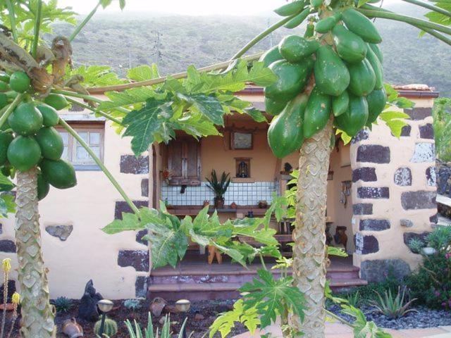 Gasthaus Casa De Mi Abuela Maria Frontera Exterior foto